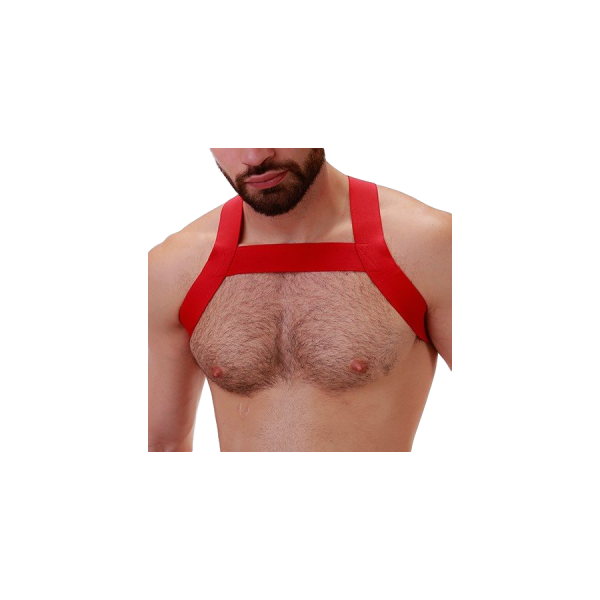BARCODE Berlin elastischer Harness rot