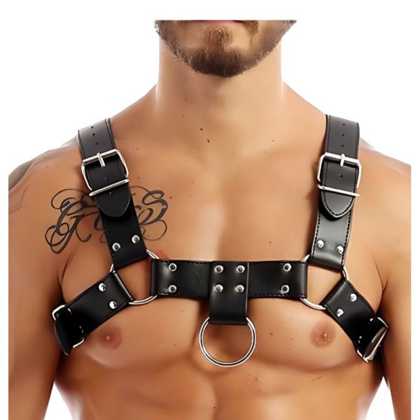 BDSMaster Harnman Harness in Schwarz 2