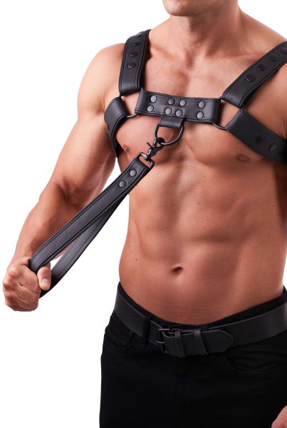 Saxos Soft Leine kurz mit Karabiner in Schwarz 2