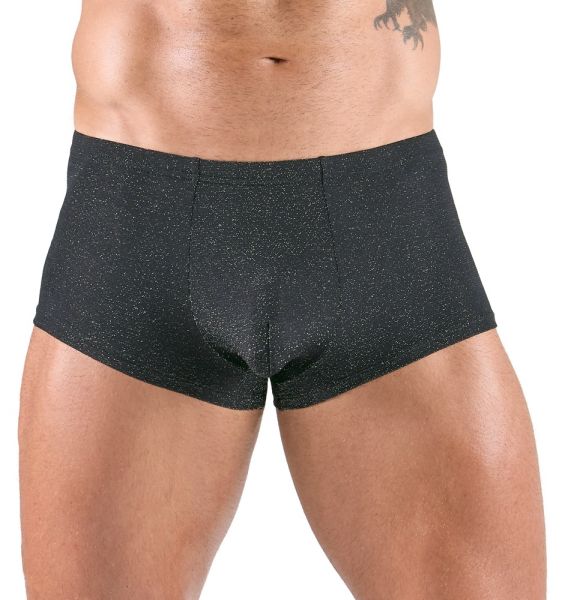 Svenjoyment Pants silver-lurex