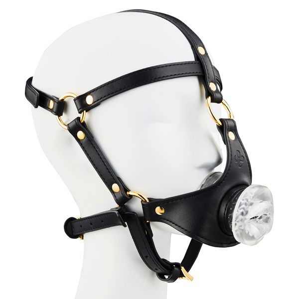 BDSMaster Tranlips Maulkorb mit Masturbator 1