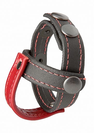 Cock & Ball Sub Presenter