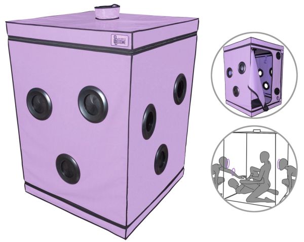 Secret Dome Scandale BDSM Box lila