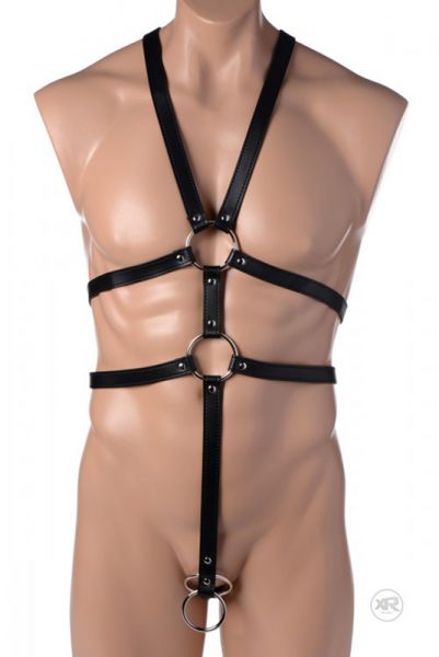 Body Harness