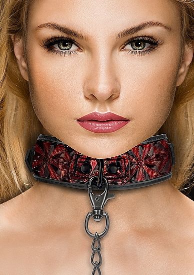 Luxury Halsband mit Leine rot