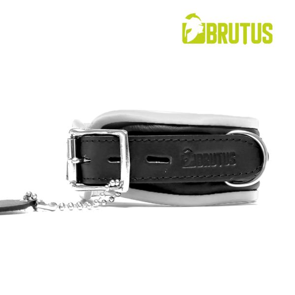 Brutus Lederhalsband vers. Farben