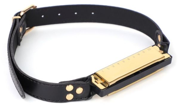 BDSMaster Harmonika Knebel in Gold 1